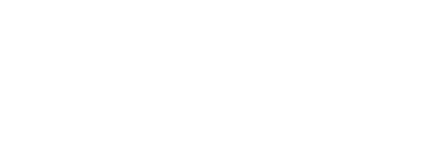 Blevins Insurance Group LLC